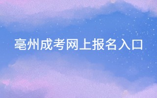 亳州成考网上报名入口